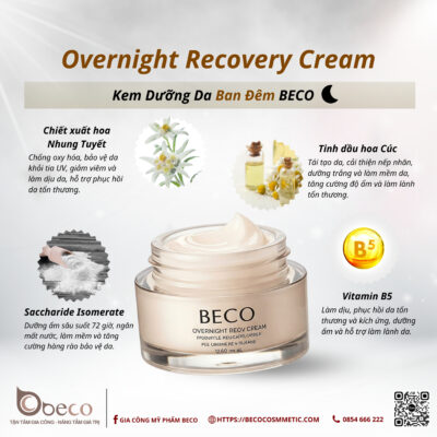 Gia công Kem Dưỡng Da Ban Đêm BECO (BECO Overnight Recovery Cream)